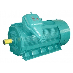 YB2系列-高壓防爆型三相電動機(jī)