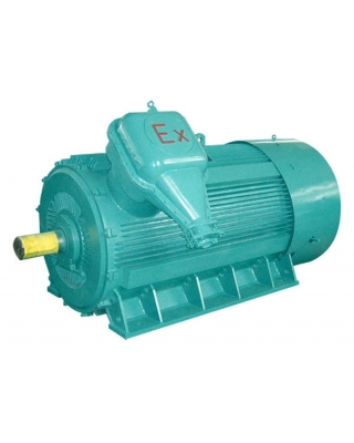 YB2系列-高壓防爆型三相電動機(jī)