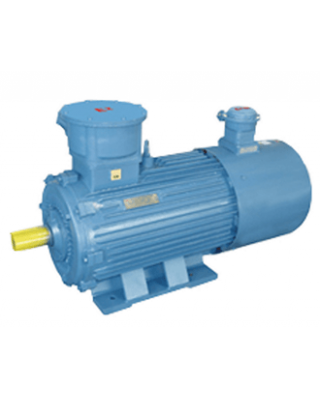 YBBP系列隔爆型變頻調(diào)速三相異步電動機(jī)